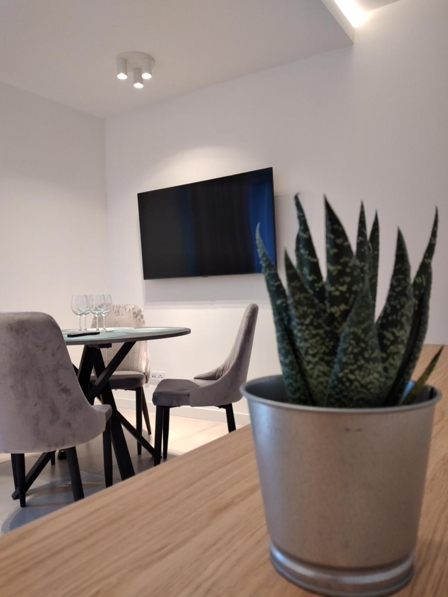 Apartament Zrodlana Ski 300M Świeradów-Zdrój Exterior foto